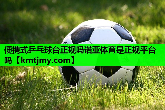 便携式乒乓球台正规吗诺亚体育是正规平台吗