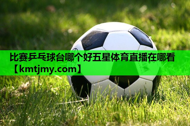 比赛乒乓球台哪个好五星体育直播在哪看