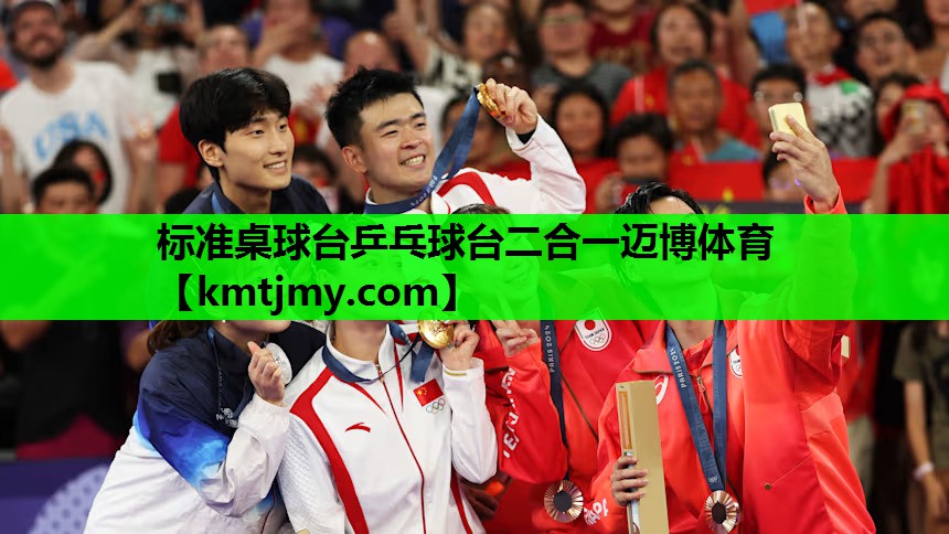 标准桌球台乒乓球台二合一迈博体育