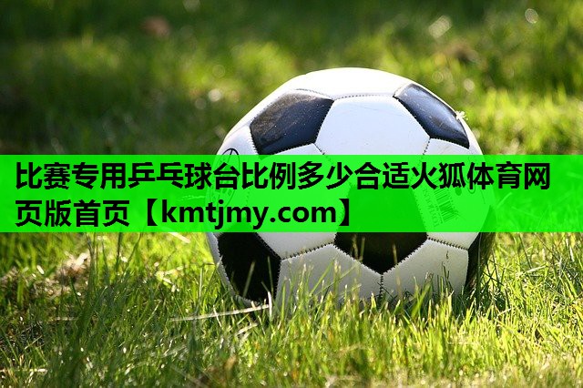 比赛专用乒乓球台比例多少合适火狐体育网页版首页