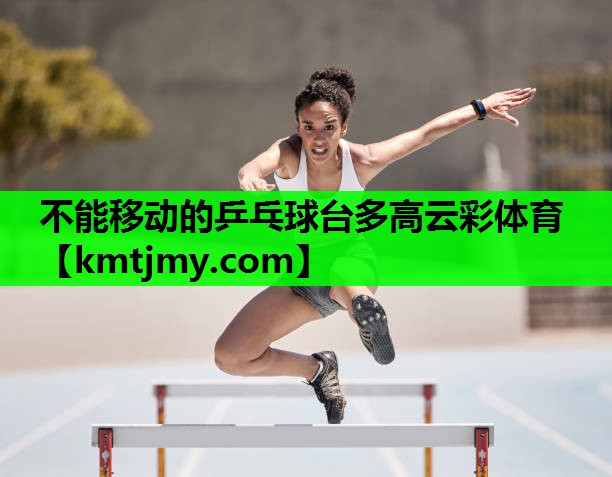 不能移动的乒乓球台多高云彩体育