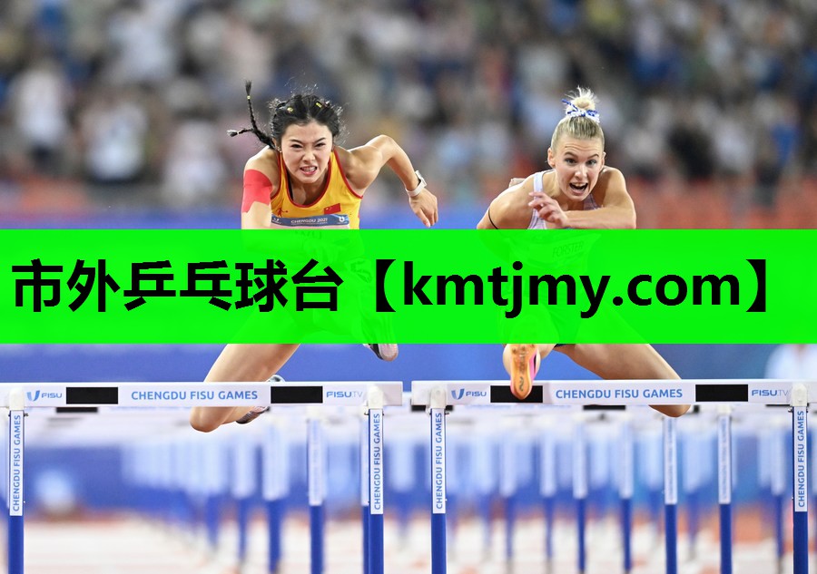 市外乒乓球台